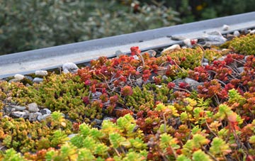 the cost of Crowdleham green roof installation