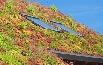 Crowdleham living roof systems