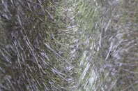 Crowdleham fibreglass roof work